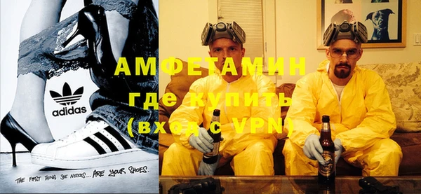 прущие грибы Россошь