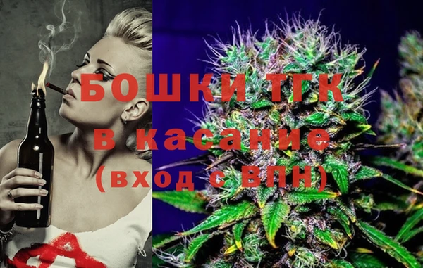 ГАЛЛЮЦИНОГЕННЫЕ ГРИБЫ Новозыбков
